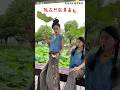 The End video ,, #viral # short # #funny fails