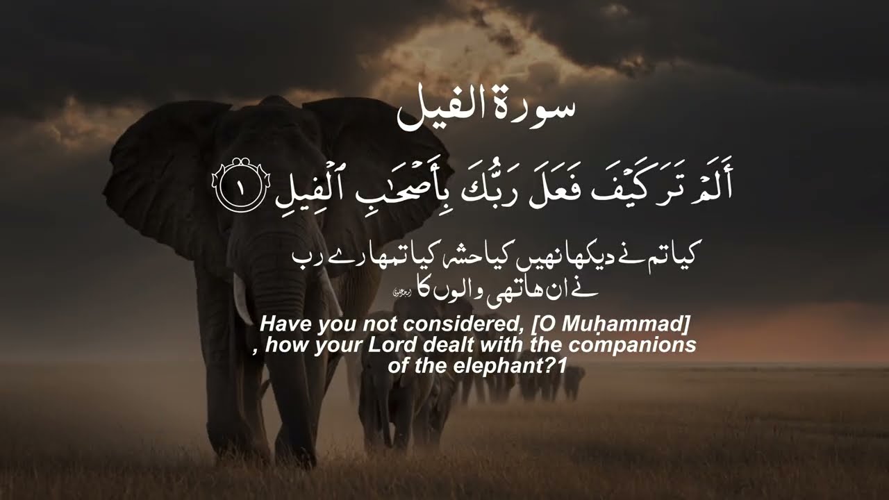 Surah Al Fil Full (The Elephant) | Beautiful Quran Recitation | English Urdu Translation | Tilawat 