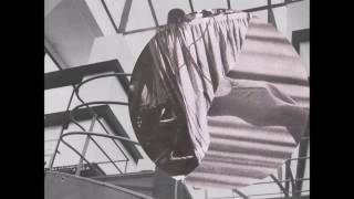 The Daydream Fit w/ Lee Ranaldo - New York City Tonight