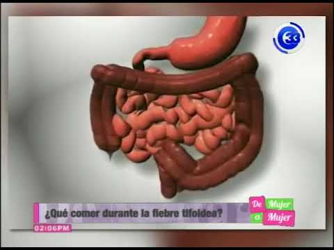 Salmonelosis que una debe con no persona comer