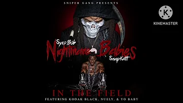Sniper Gang - In The Field (ft. Kodak Black, Nuely, & Yo Baby) [Official Audio] (432Hz)