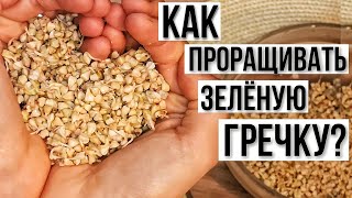 КАК ПРОРАСТИТЬ ЗЕЛЁНУЮ ГРЕЧКУ? | САМЫЙ ПРОСТОЙ СПОСОБ ПРОРАЩИВАНИЯ | КАК И ЗАЧЕМ ПРОРАЩИВАТЬ ЗЕРНА?