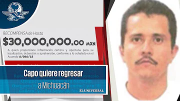 O que significa Mecho?