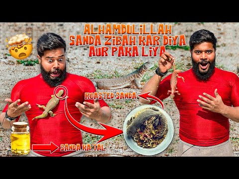 Alhamdulillah sanda zibah kar diya aur paka liya roasted sanda |spiny tailed lizard🦎oil |Syed Fahad