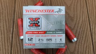 Winchester Super X Xpert High Velocity Steel #6 Patterning W/ Remington 11-87 &amp; Stock Modified Choke
