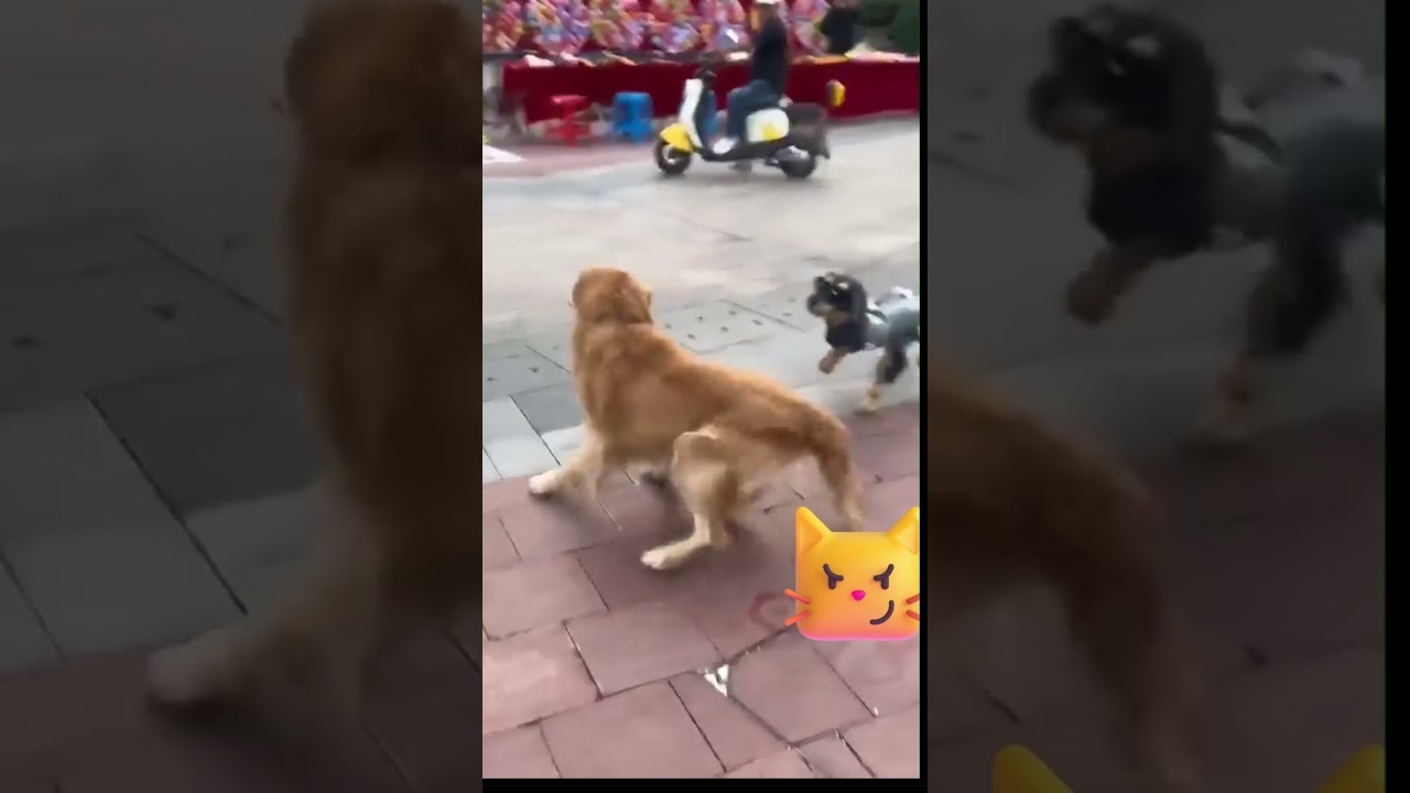 #shorts Real Dog Reaction Vs Robot Dog Powered by Artificial Intelligence #ai #robot #dog