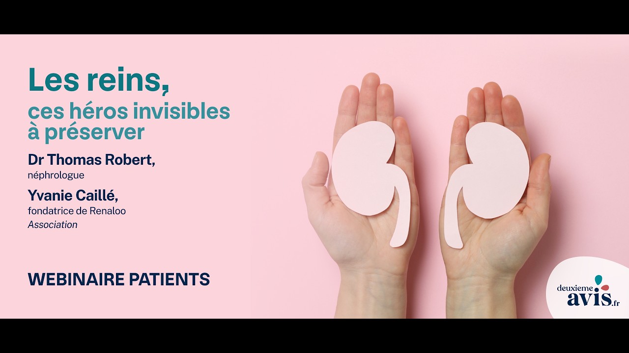 Les reins, ces héros invisibles à préserver