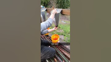 TW killing chicken for meat. No cruelty, fast processing chicken.