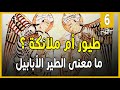 مكة و الفيل الحلقة 6 طيور أم ملائكة ما معنى الطير الأبابيل
