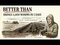 Better Than Fertilizer — Brings 1,000 Worms in 3 Days, Revives Dead Soil. Why Is It Hidden?