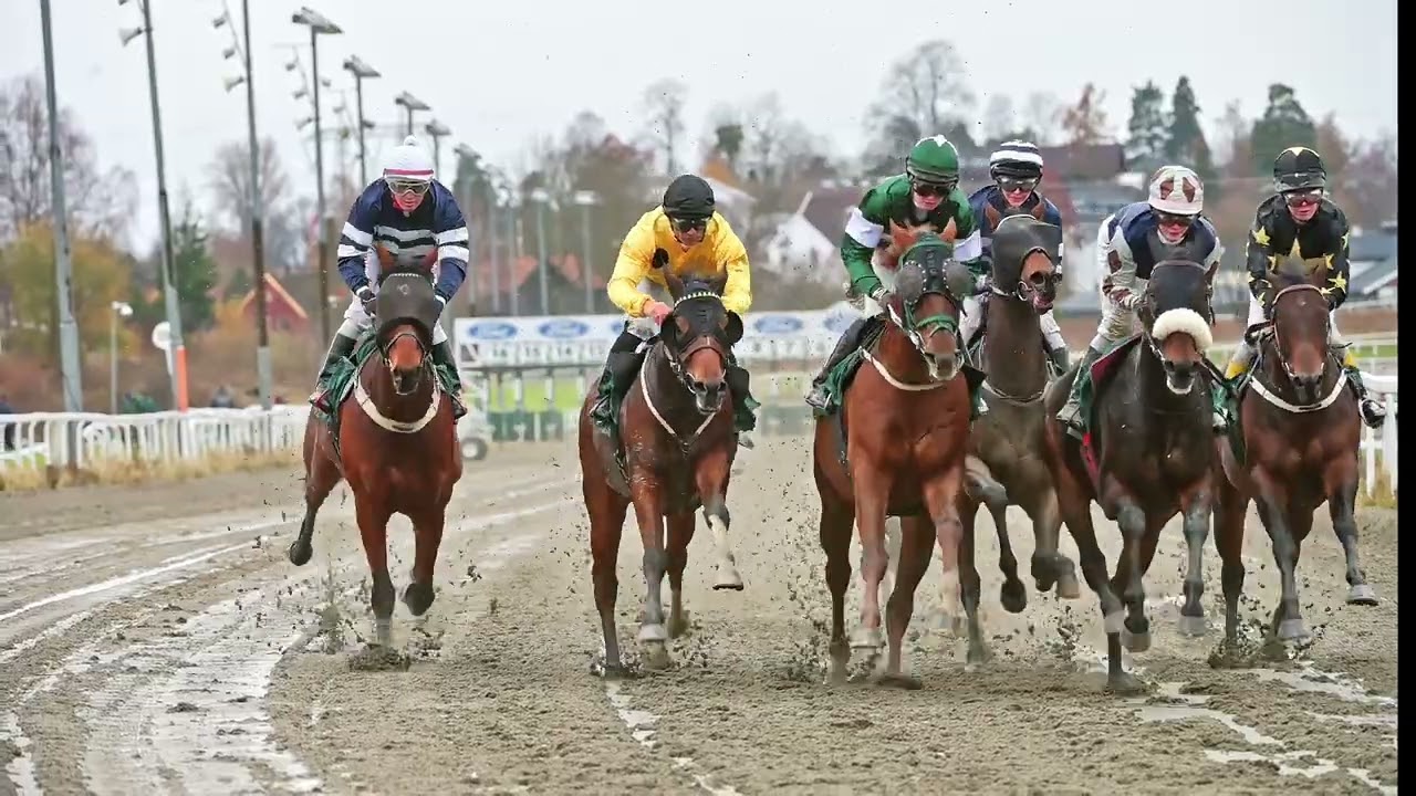 Øvrevoll Galoppbane / 05.11.2023 / 12:10 Cet / Race #4 / 1600Dt / Carlotita Handicap