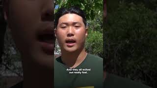 Witnesses Describe Charlie Kirk Shooting Mp3 & Mp4 Download - clip