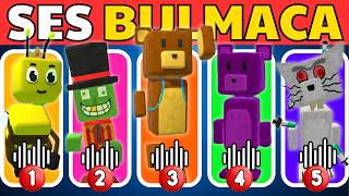 Süper Ayı Ses Bulmaca 🔊🐻Super Bear Adventure Quiz Karakterleri Tahmin Et Baaren, Shicka, Capitalos