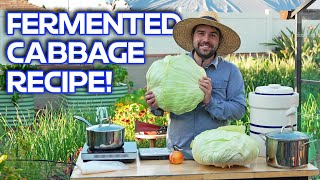 How I Make Fermented Cabbage The Bulgarian Way! by Jacques in the Garden 50,315 views 3 days ago 13 minutes, 38 seconds