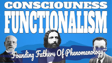 Understanding Functionalism: How Mental States Can be Described in Terms of their Function