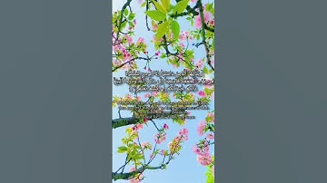 | سورة الجمعة💙 | الشيخ مشاري بن راشد العفاسي | آيات-٩ |