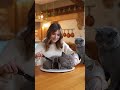 Real Cat Watches Owner Cut a Hyperrealistic Cat Cake 😱🐱🎂 | Funniest Reaction Ever! #catreaction