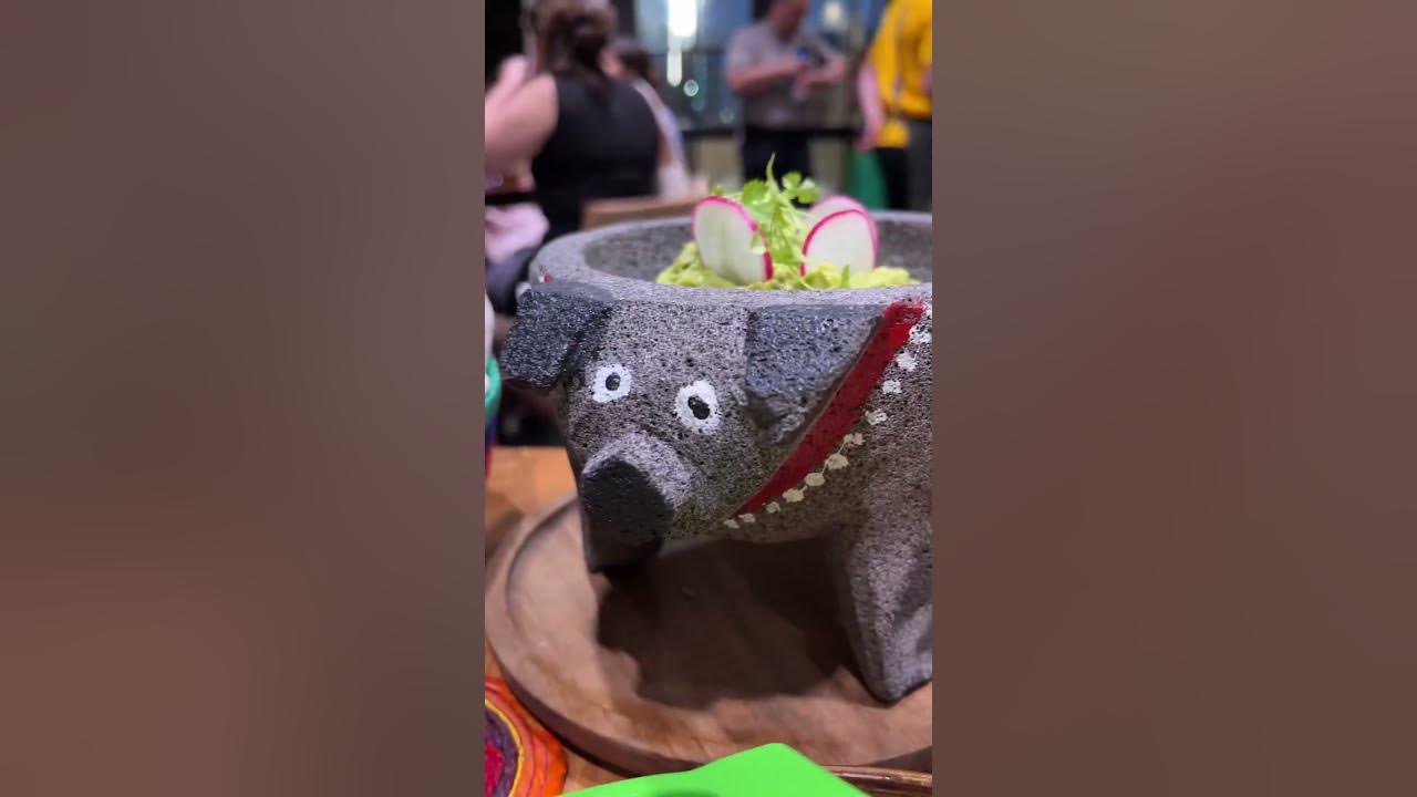 maiz-y-agave-new-mexican-restaurant-in-coral-gables-florida-miami-youtube