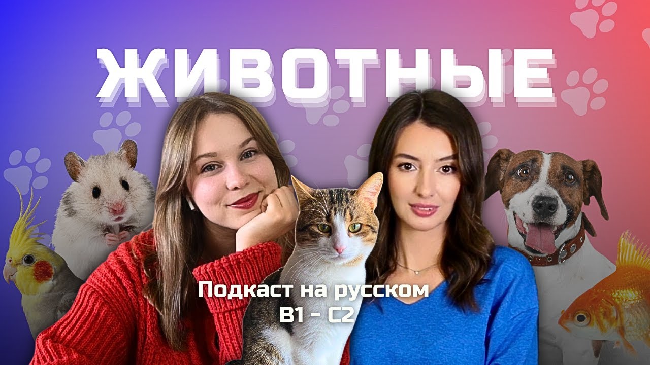 Выпуск 126. Домашние животные. | Подкаст на русском B1-C2 #russianpodcast