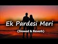 Ek Pardesi Mera Dil Le Gaya | Sophie Choudry [ Slowed   Reverbed ]