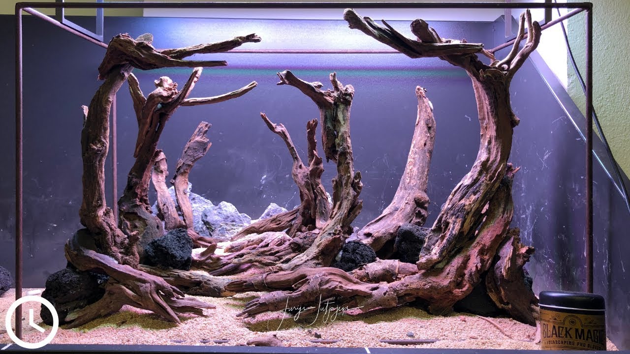 How to hide cigarette filter and glue on a Driftwood Aquarium Setup 