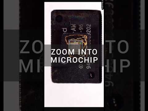 Zoom Into MicroChip