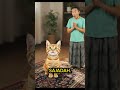 kucing lucu #ai #funnyvideo #anakanak #kucinglucu #kucing
