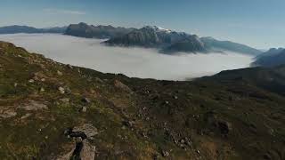 Foggy Morning Flight // Heewing T2 Cruza Vtol