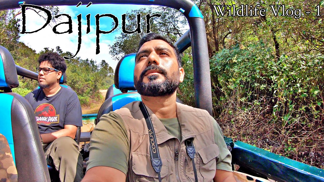 dajipur jungle safari timings