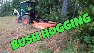 FIRST TIME BUSH HOGGING