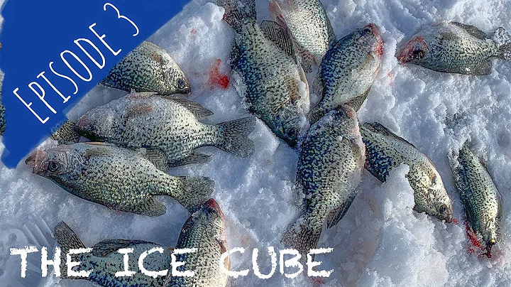 KEYHOLE CRAPPIE | Ice Fishing Wyoming | The Ice Cube