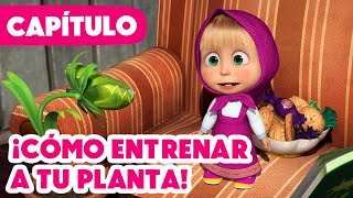 Masha y el Oso  NUEVO CAPÍTULO 2024  ¡Cómo entrenar a tu planta!  (Capítulo 99)