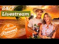 🔴 24/7 | ALOHA &amp; Schrauberei ohne Ende! 🌺 Der Reimanns-Livestream