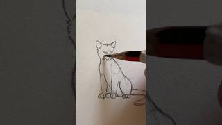 Como dibujar un gato inténtalo #arte #art #dibujo #tutorial #gatos