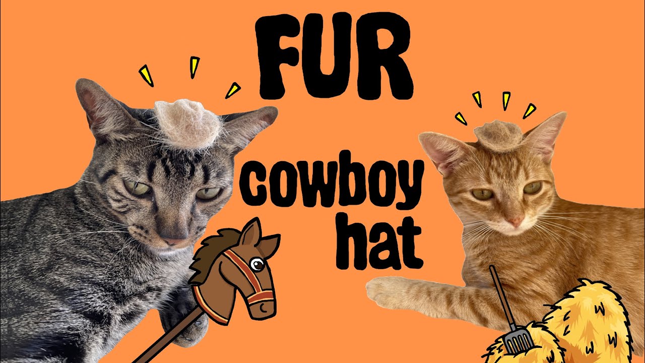 FUNNY CAT VIDEO: COWBOY HAT WITH CAT'S FUR