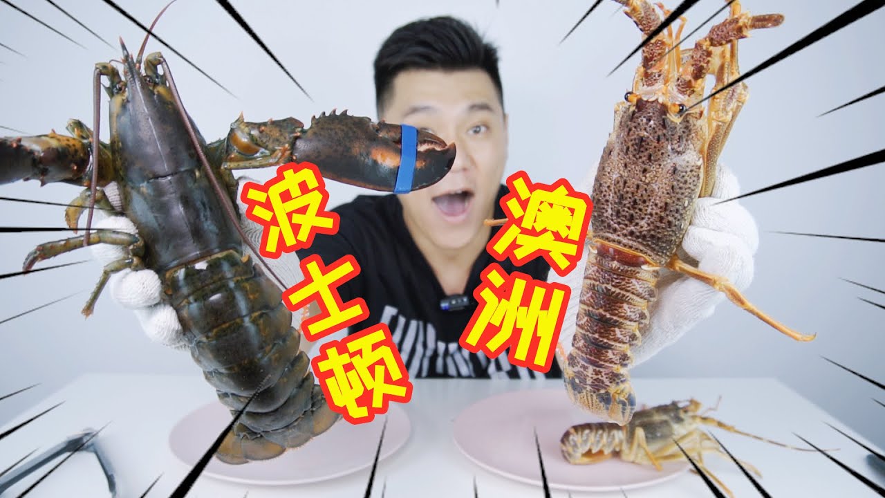 西澳必食| 野生龍蝦| 龍蝦工廠| 青邊鮑| 柏斯 Perth Vlog| Western Australia Live Lobster|  Wild Seafood|  #海產#美食#澳洲龍蝦