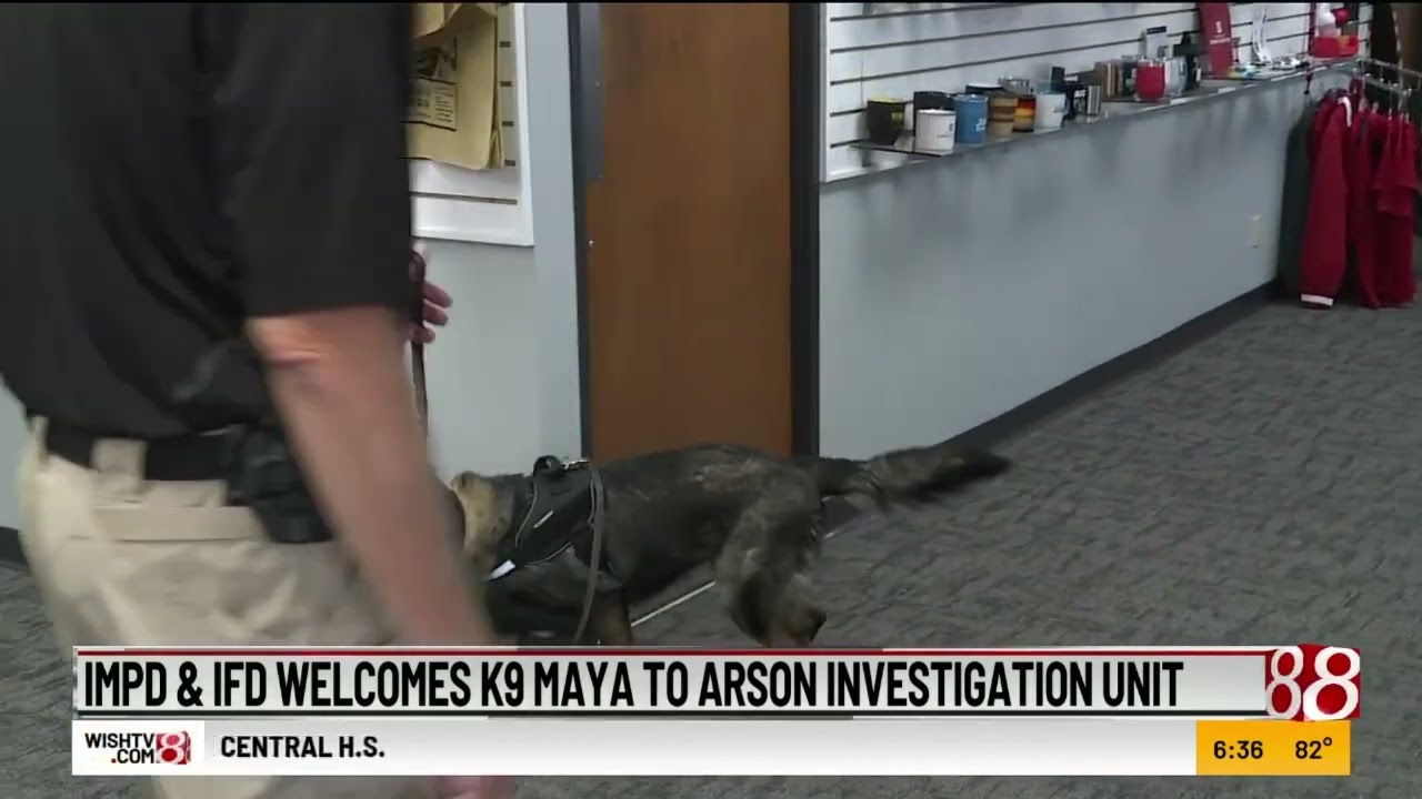 IMPD and IFD welcomes K-9 Maya to arson investigation unit