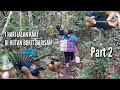 MIKAT BURUNG DI HUTAN SUMATRA BARAT Part2