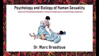 24.Human Sexuality: Condoms, IUDs, the Pill, Plan B, and How They Work