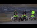 Dog sledding on wheels in Svalbard