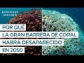 ¿Aguantará la Gran Barrera de Coral al cambio climático?