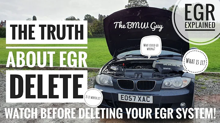 The *TRUTH* about EGR Delete! - Everything you need to know about this Mod!