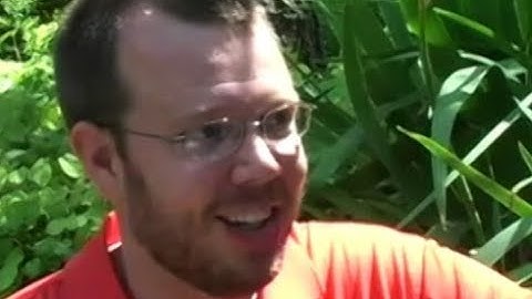 Summative and formative assessments