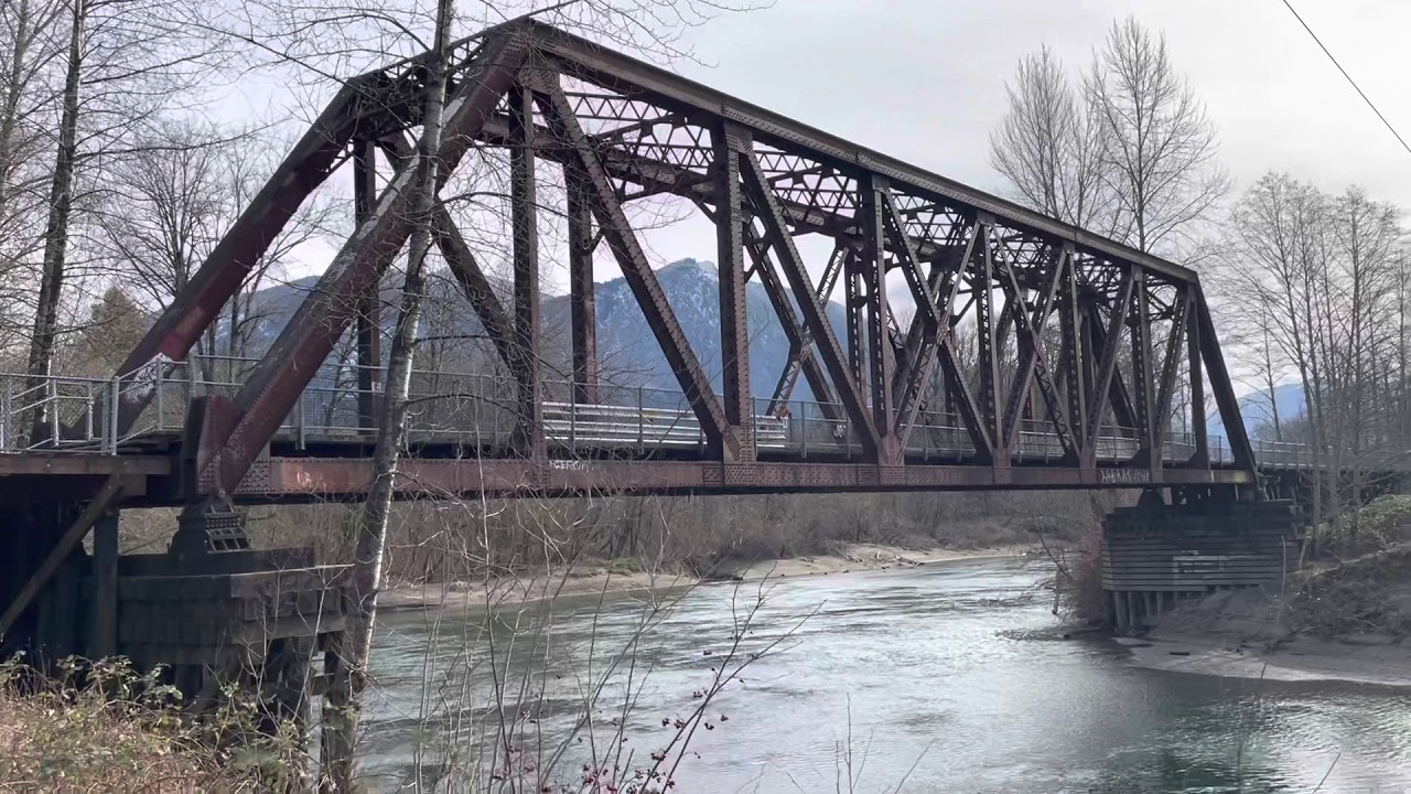 Here in Twin Peaks: Ronette’s Bridge and Trees