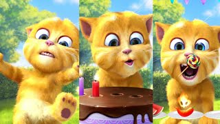 talking ginger funny cat videos on YouTube 😲 eat unlimited healthy fruit 🥞🍓🍍🥪🌶️🧆🍔😱 #catlover #cats