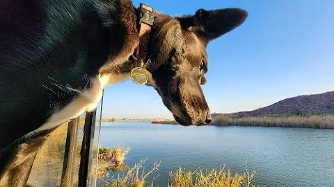 FREE RV Camping at a Desert Lake