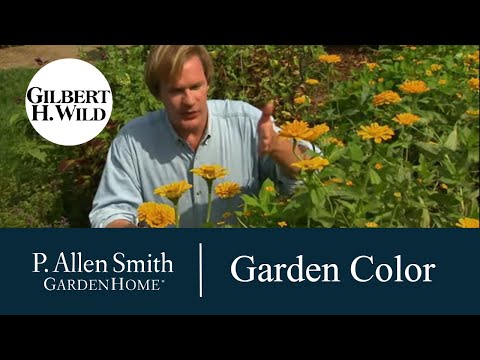 Vidéo: Garden Color Schemes - En savoir plus sur les structures et les supports de jardin colorés