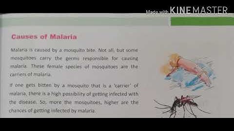 MLZS JHANSI CLASS 5 EVS Diseased Lecture 1