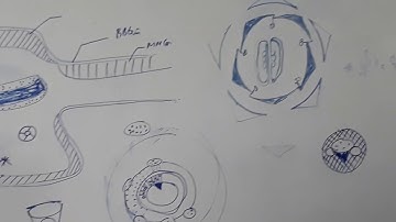 Thực vật dược - Lá cây