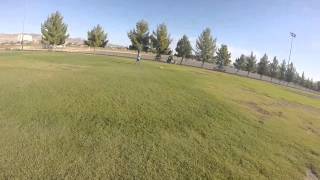 Quads Delta Wing - Tail Spinners Rc User Group